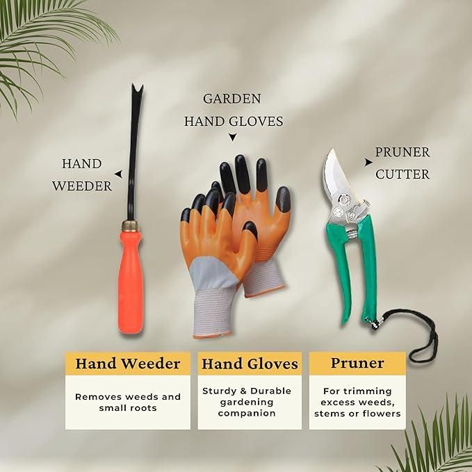 6 in 1 Garden Tools Set | Home Gardening Kit| Cultivator | Fork | Trowel | Weeder | Garden Gloves | Pruner Cutter & Free Tool Box | Gardening Kit - UrbanTeer